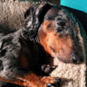 Meet your Posher, Mandy